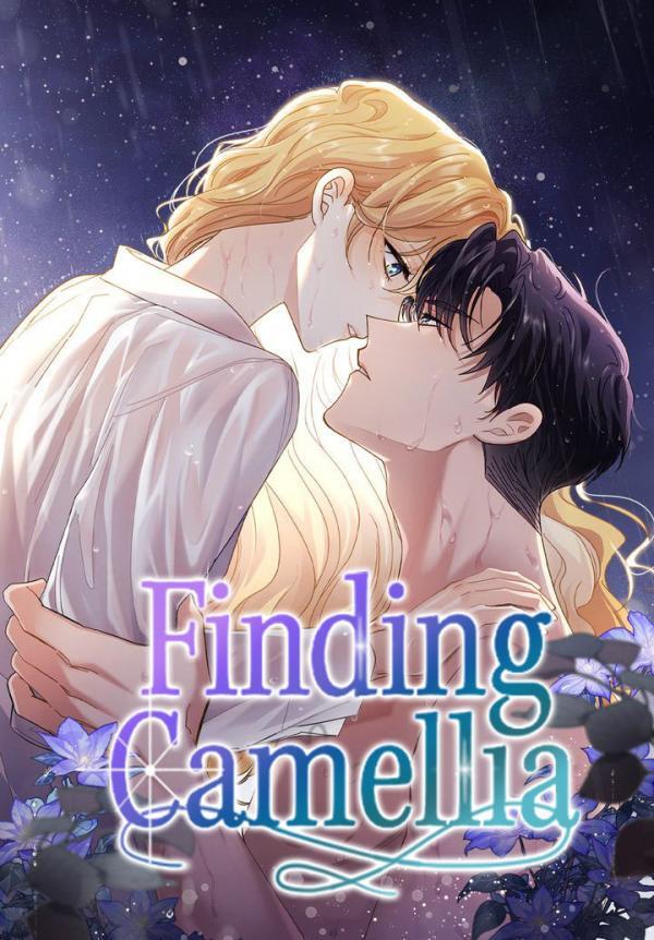 Finding Camellia  [zeanavy]
